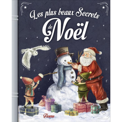 Avis Les plus beaux secrets de Noël FLEURUS 1