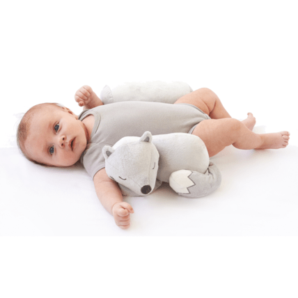 Avis Cale-bébé P'tit Loup TINEO 2
