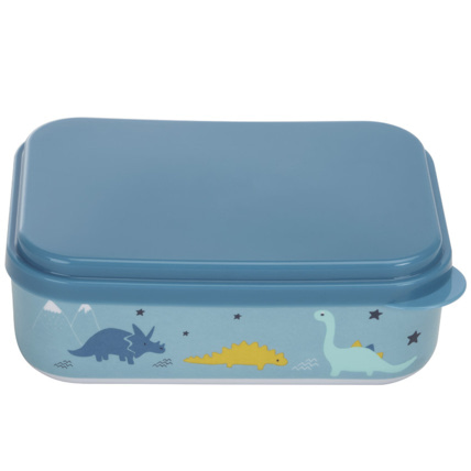 Avis Lunchbox en mélaminé - Mes amis les dinos Prémaman 1