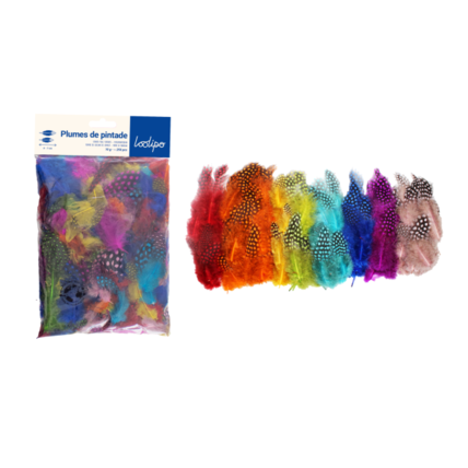 Avis Plumes De Pintade LOOLIPO 1