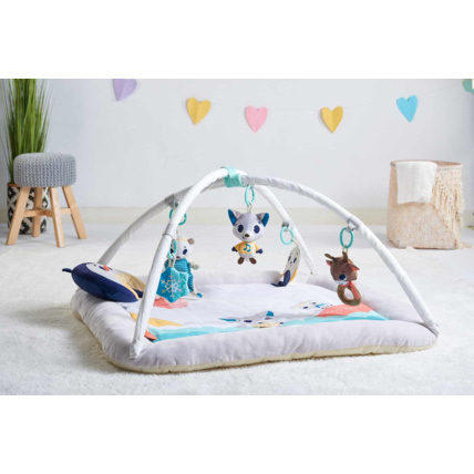 Avis Tapis Plush Gymini ultra-confort Tiny Love 4