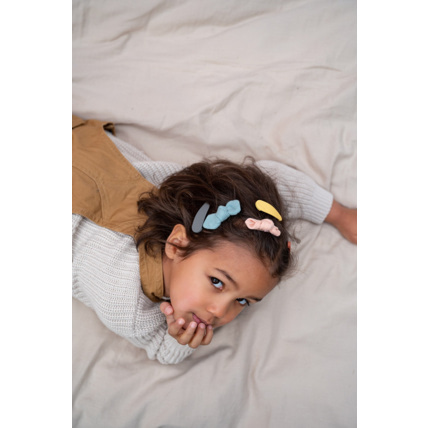 Avis Guillemette la barrette Petit Picotin 3