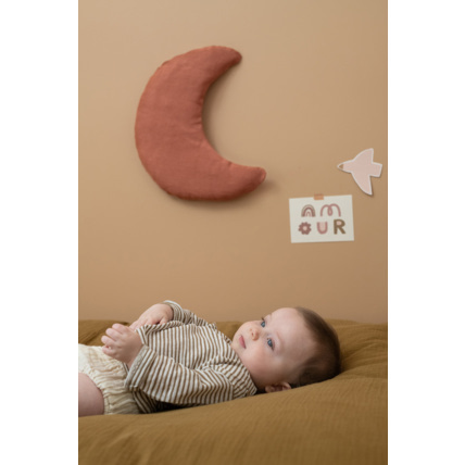 Avis Pierrot la lune Petit Picotin 2