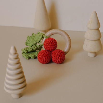 Avis Anneau de dentiton Hiver MYUM - THE VEGGY TOYS 1
