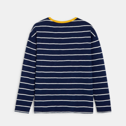 Avis T-shirt rayé bleu garçon OKAIDI 3