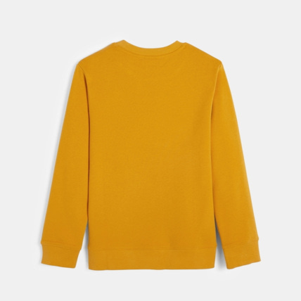 Avis Sweat motif 3D jaune garçon OKAIDI 3