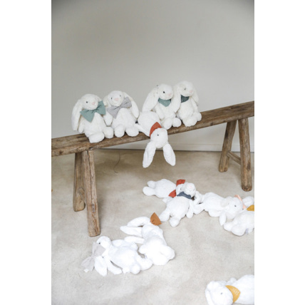 Avis Paulin le Lapin Petit Picotin 7