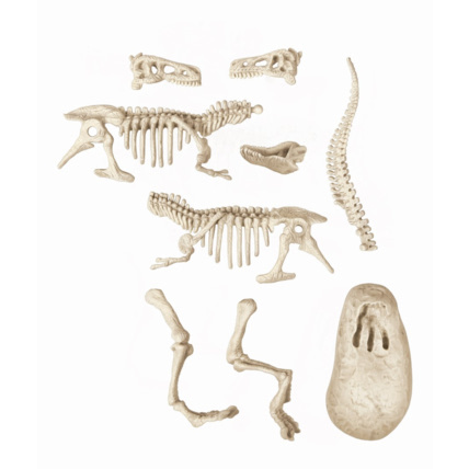Avis Archéo Ludic - Vélociraptor Clementoni 5