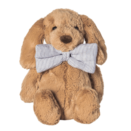 Avis Mathurin le petit chien Petit Picotin 3
