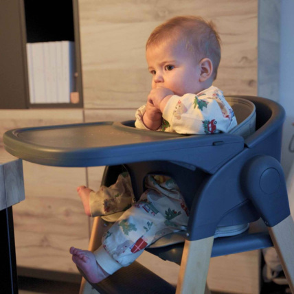 Avis Chaise haute évolutive Grow With Me BO JUNGLE 5