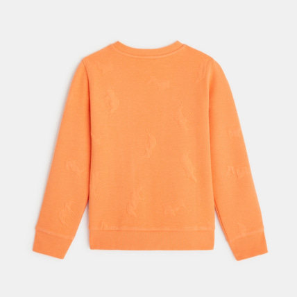 Avis Pull maille fantaisie animaux en relief orange garçon OKAIDI 3