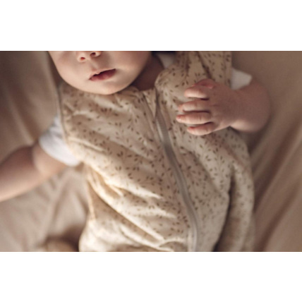 Avis Gigoteuse Mon Lit Cabane 49