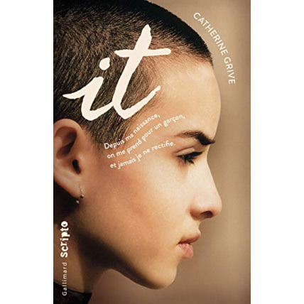 Avis Livre It GALLIMARD JEUNESSE 1