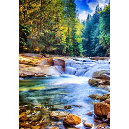 Avis Puzzle Belle Cascade dans la Forêt GRAFIKA 1