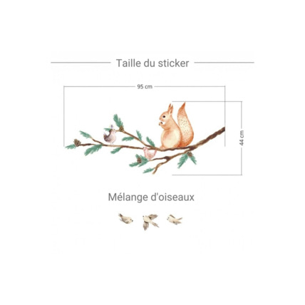 Avis Sticker écureuil Mon Lit Cabane 2