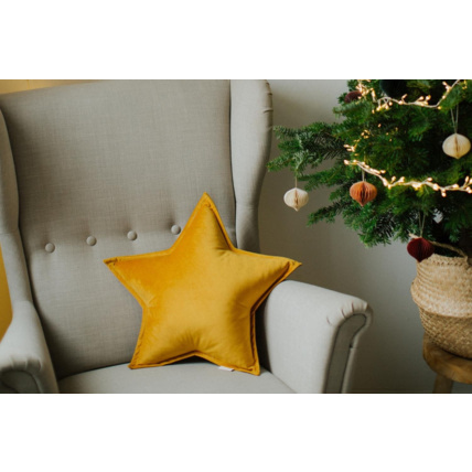 Avis Coussin étoile en velours Mon Lit Cabane 5
