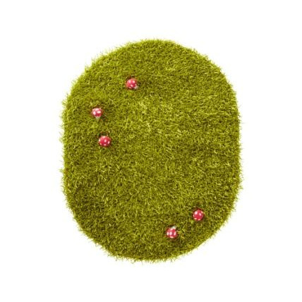 Avis Tapis herbe chambre fille theme coccifleurs  Vertbaudet 1