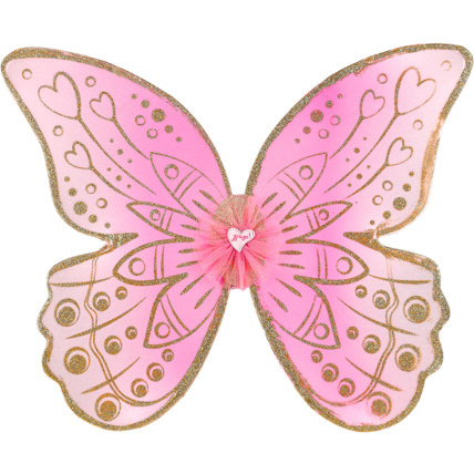 Avis Ailes Marcia SOUZA 1