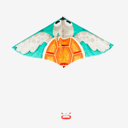 Avis Cerf-volant statique Enfant - MFK 100 Tortue TRIBORD Decathlon 1