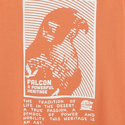 Avis T-shirt col V à motif faucon orange garçon OKAIDI 2