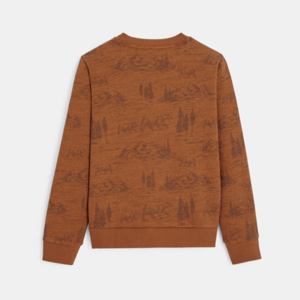 Avis Sweat-shirt imprimé à message marron garçon OKAIDI 4