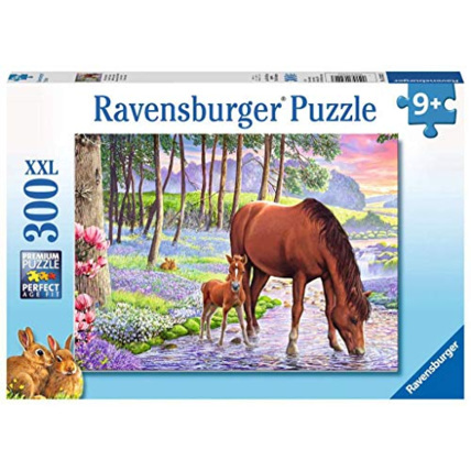 Avis Puzzle - Beauté sauvage - 300 pièces RAVENSBURGER 1