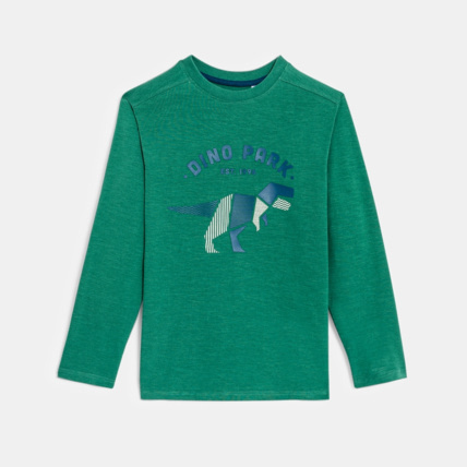 Avis T-shirt manches longues motif dinosaure vert garçon OKAIDI 1