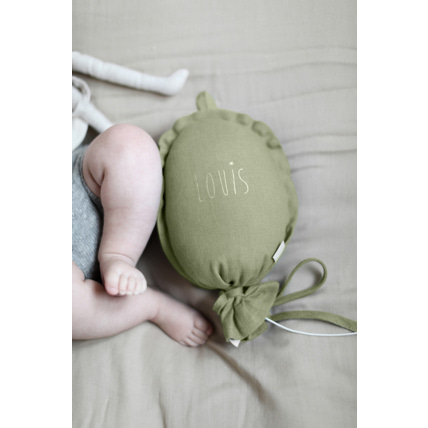 Avis Lucien le ballon musicien Petit Picotin 8