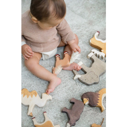 Avis L'ourson Petit Picotin 2