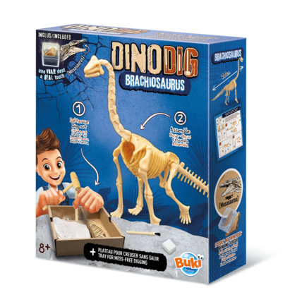 Avis Dino Dig Brachiosaurus Buki France 1