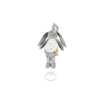 Avis Timeless mini musical NOUKIE'S 1