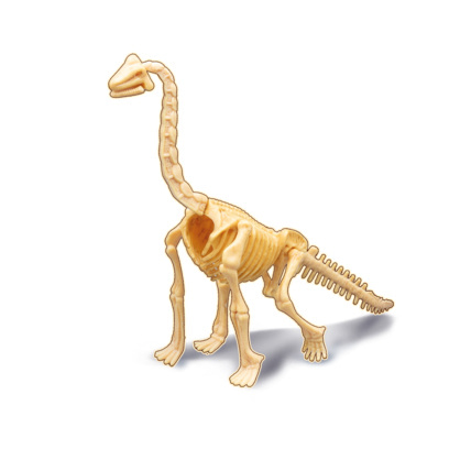 Avis Dino Dig Brachiosaurus Buki France 2