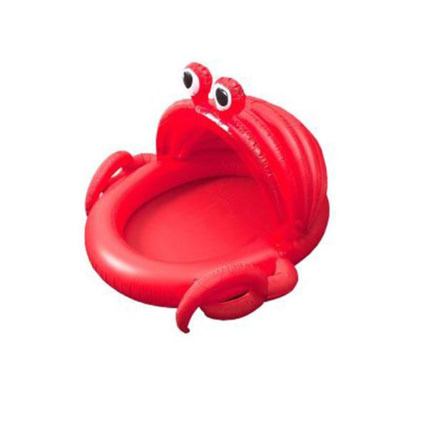 Avis Piscine crabe ZEEMAN 1