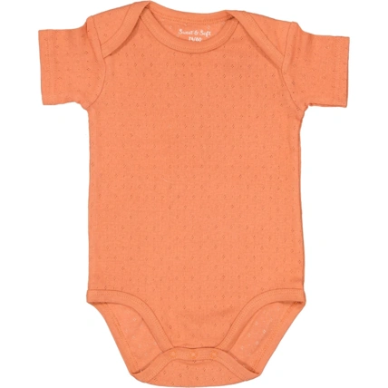 Avis Body bébé ZEEMAN 1