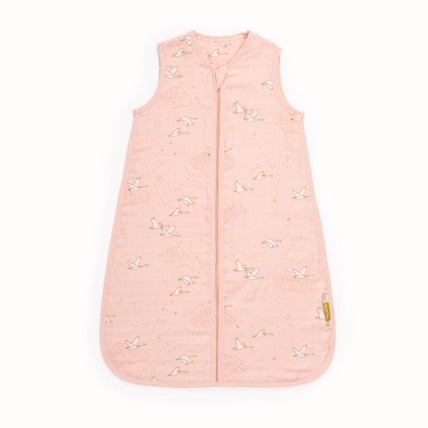 Avis Gigoteuse été La petite école de danse moulin Roty 1