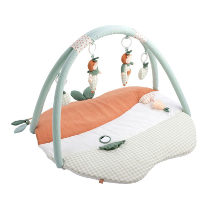 Avis Tapis d'éveil avec arceaux démontables Botanica Sauthon 1