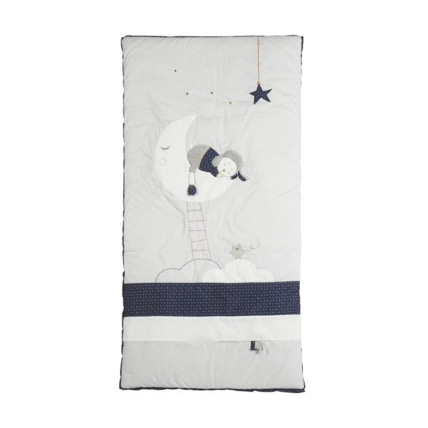 Avis Edredon Merlin Sauthon 1