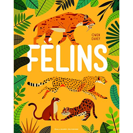 Avis Livre Felins GALLIMARD JEUNESSE 1