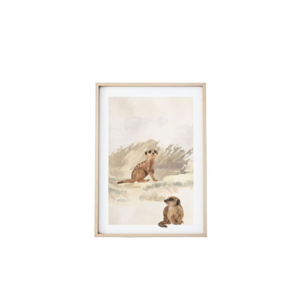 Avis Image Suricates Mon Lit Cabane 1