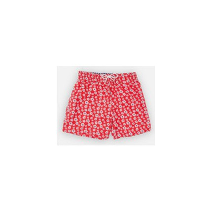 Avis Marin Daddy Boxer Archimède NOUKIE'S 1