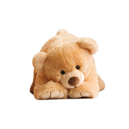 Avis Gros ours HISTOIRE D'OURS 1