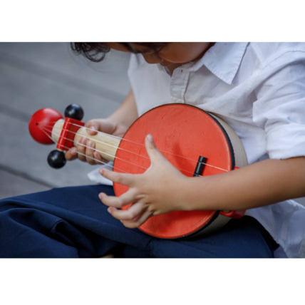 Avis Banjo PLAN TOYS 2
