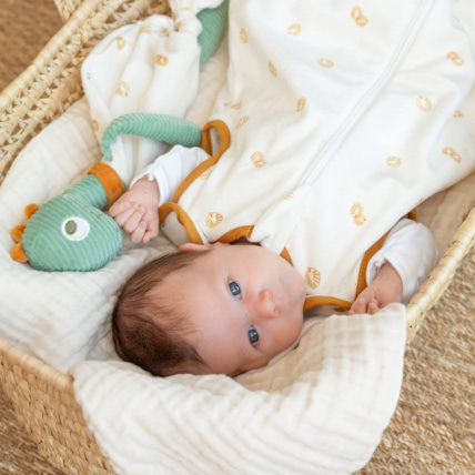 Avis Doudou Dino le dinosaure Trois Kilos Sept 2