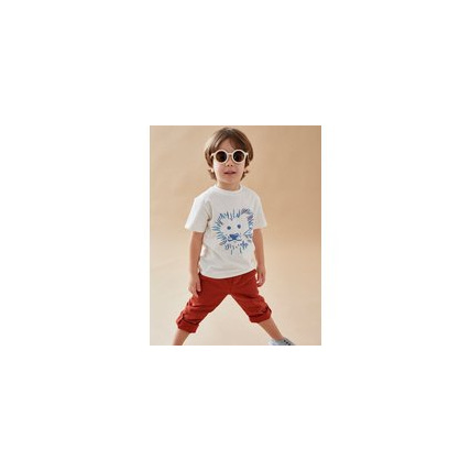 Avis T-shirt lion à courtes manches NOUKIE'S 3
