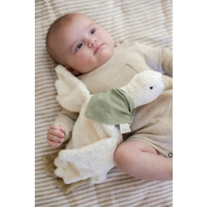 Avis Edgar le foulard Petit Picotin 3