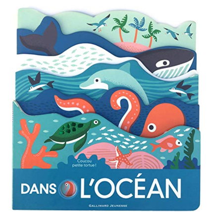 Avis Livre Dans L'Ocean GALLIMARD JEUNESSE 1