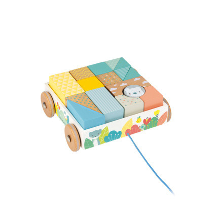 Avis Chariot de cubes à tirer Pure JANOD 1