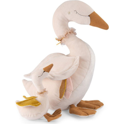 Avis Grand cygne d'activités La petite école de danse moulin Roty 1