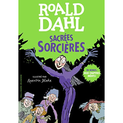 Avis Livre Sacrées Sorcières GALLIMARD JEUNESSE 1