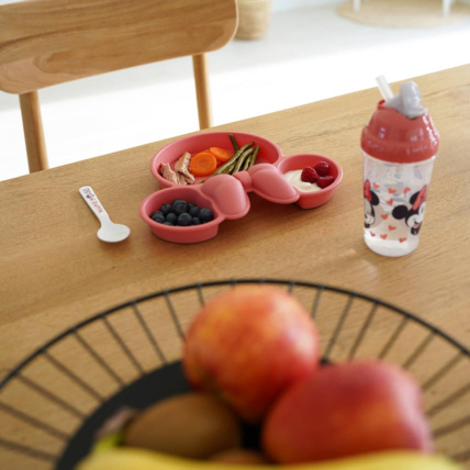 Avis Assiette Disney Baby Minnie THERMOBABY 2